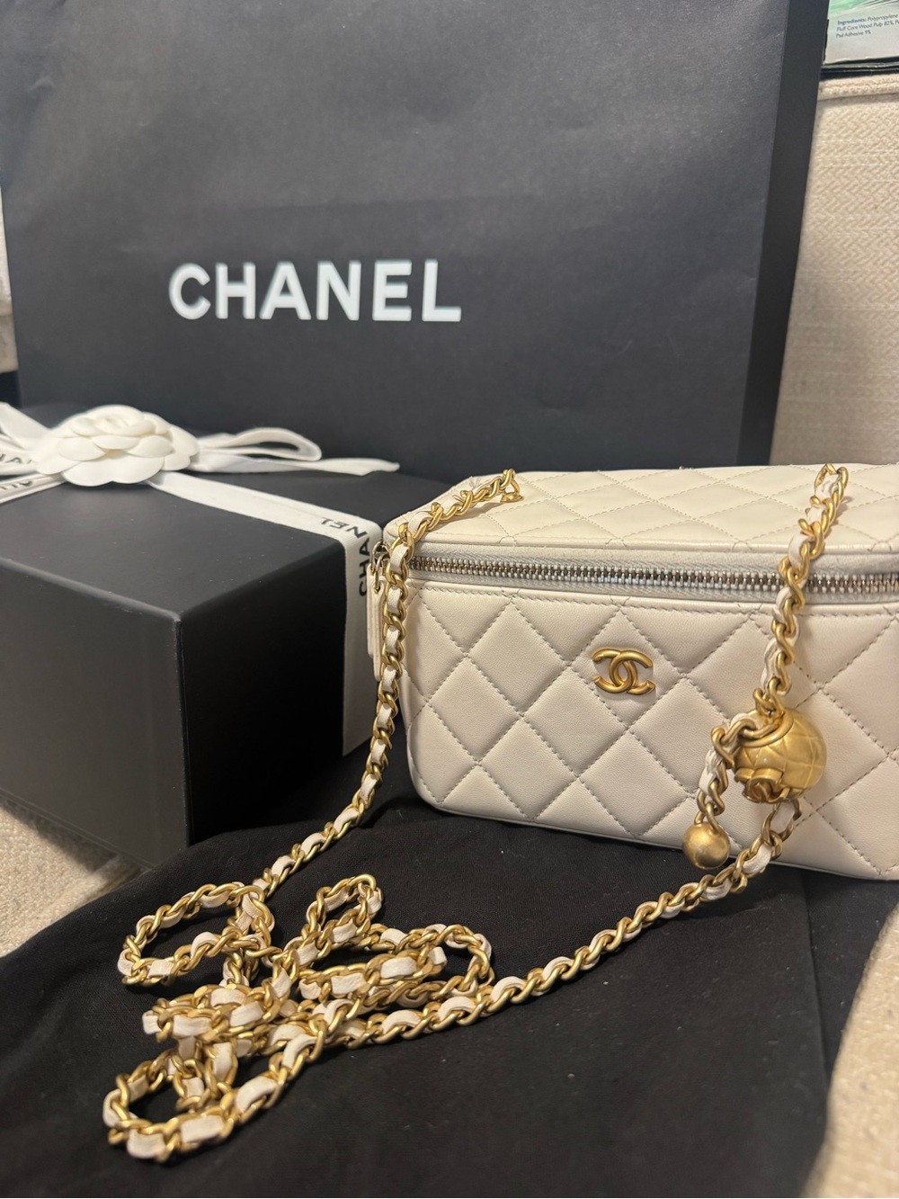 CHANEL Quilted Cream Leather Mini Camera Bag with Gold Chain